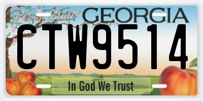 GA license plate CTW9514