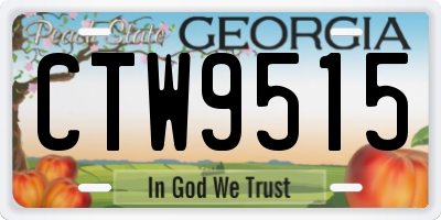 GA license plate CTW9515