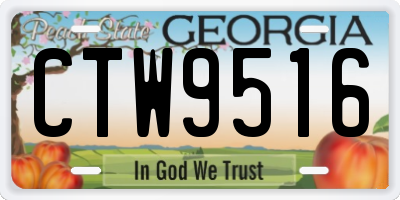 GA license plate CTW9516