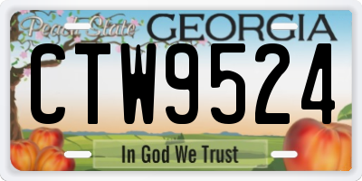 GA license plate CTW9524