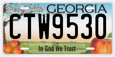 GA license plate CTW9530