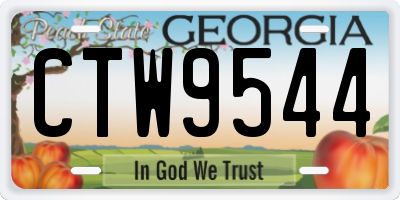 GA license plate CTW9544