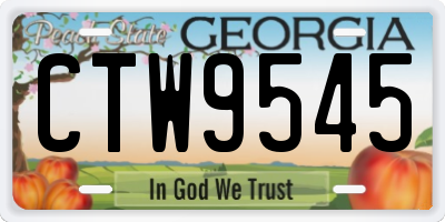GA license plate CTW9545