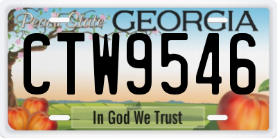 GA license plate CTW9546
