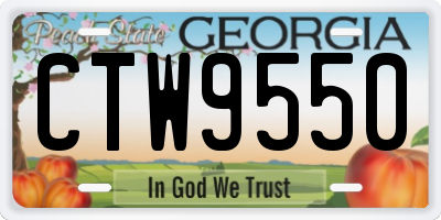 GA license plate CTW9550