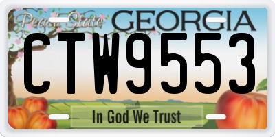 GA license plate CTW9553