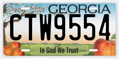 GA license plate CTW9554