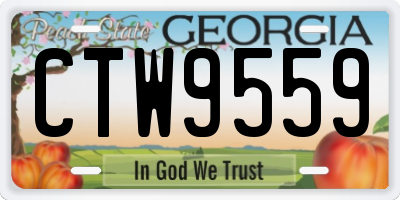 GA license plate CTW9559