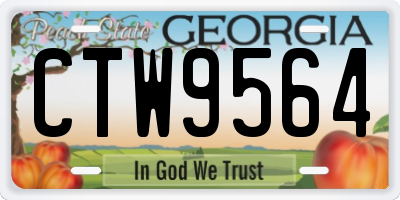 GA license plate CTW9564