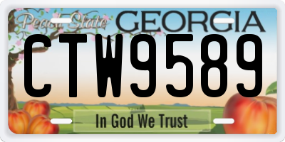 GA license plate CTW9589