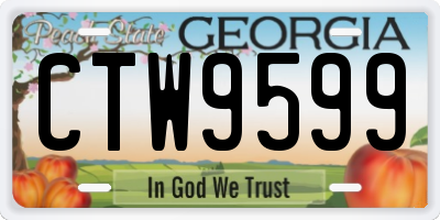 GA license plate CTW9599