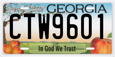 GA license plate CTW9601