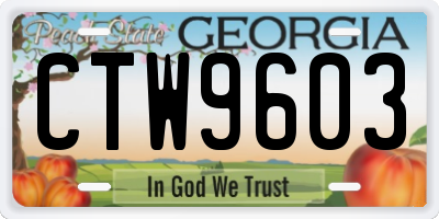 GA license plate CTW9603