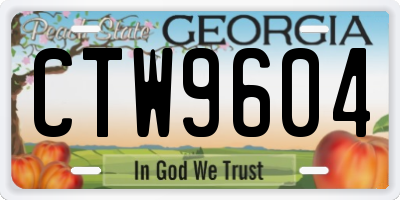 GA license plate CTW9604