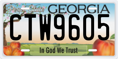 GA license plate CTW9605