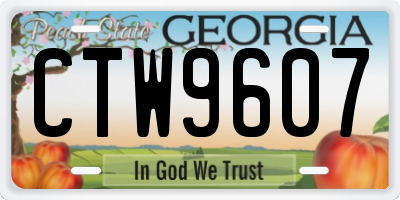 GA license plate CTW9607