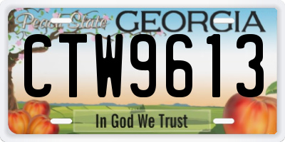 GA license plate CTW9613