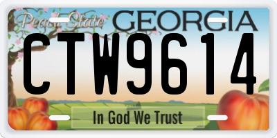 GA license plate CTW9614