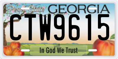 GA license plate CTW9615