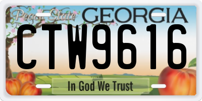 GA license plate CTW9616