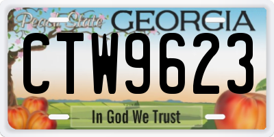 GA license plate CTW9623