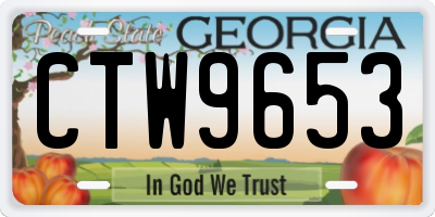 GA license plate CTW9653