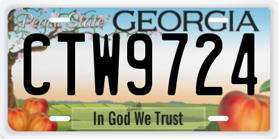GA license plate CTW9724