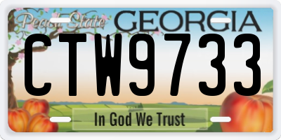 GA license plate CTW9733
