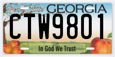 GA license plate CTW9801