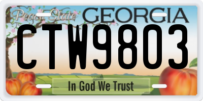 GA license plate CTW9803