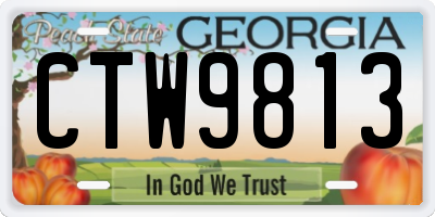 GA license plate CTW9813