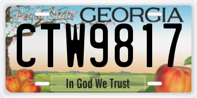 GA license plate CTW9817