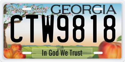 GA license plate CTW9818
