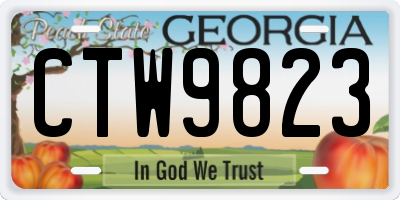 GA license plate CTW9823