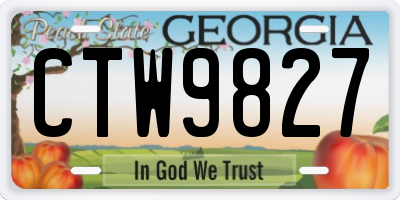 GA license plate CTW9827