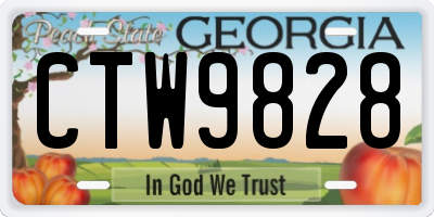GA license plate CTW9828