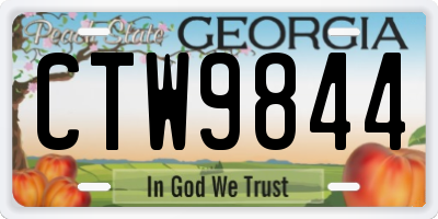 GA license plate CTW9844