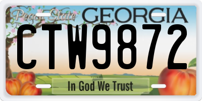 GA license plate CTW9872