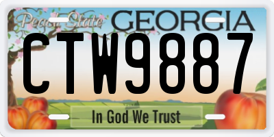 GA license plate CTW9887