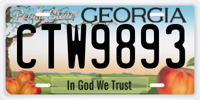 GA license plate CTW9893