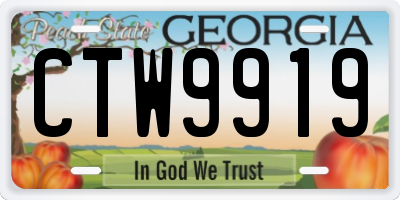 GA license plate CTW9919