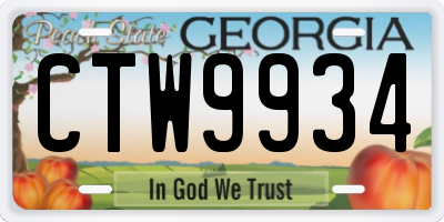 GA license plate CTW9934