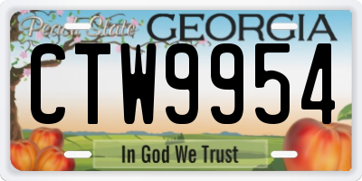 GA license plate CTW9954