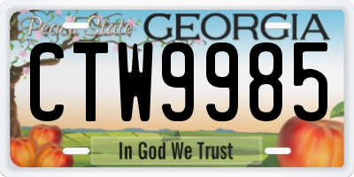 GA license plate CTW9985