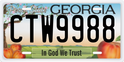 GA license plate CTW9988