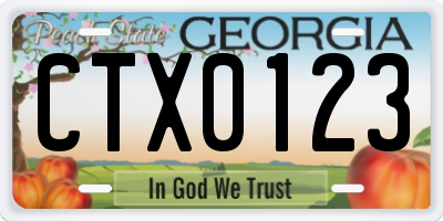 GA license plate CTX0123