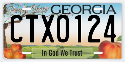 GA license plate CTX0124