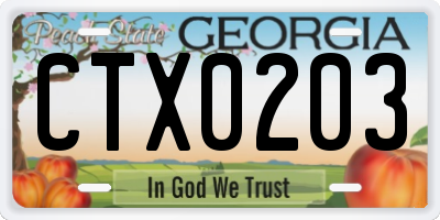 GA license plate CTX0203