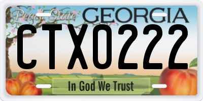 GA license plate CTX0222