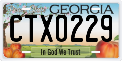 GA license plate CTX0229